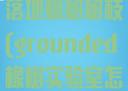 grounded落地橡树树枝(grounded橡树实验室怎么进)