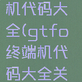 gtfo终端机代码大全(gtfo终端机代码大全关闭警报)