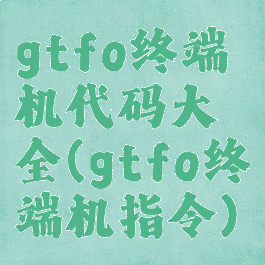 gtfo终端机代码大全(gtfo终端机指令)