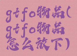 gtfo物品(gtfo物品怎么放下)