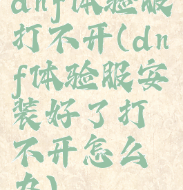 dnf体验服打不开(dnf体验服安装好了打不开怎么办)