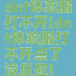 dnf体验服打不开(dnf体验服打不开点了没反应)
