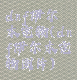 dnf伊尔本宠物(dnf伊尔本宠物图片)