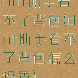 dnf助手看不了背包(dnf助手看不了背包怎么设置)