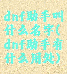 dnf助手叫什么名字(dnf助手有什么用处)