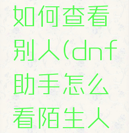 dnf助手如何查看别人(dnf助手怎么看陌生人装备)