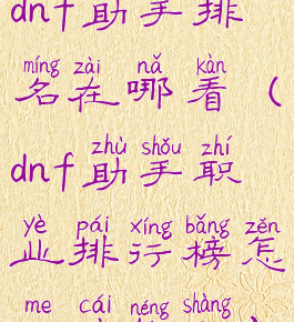 dnf助手排名在哪看(dnf助手职业排行榜怎么才能上)