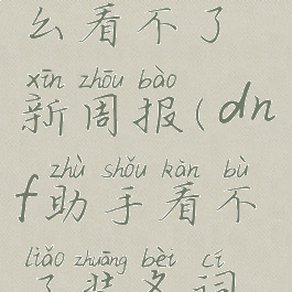 dnf助手怎么看不了新周报(dnf助手看不了装备词条)