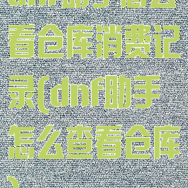 dnf助手怎么看仓库消费记录(dnf助手怎么查看仓库)