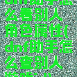 dnf助手怎么看别人角色属性(dnf助手怎么查别人游戏id)