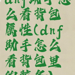 dnf助手怎么看背包属性(dnf助手怎么看背包里的装备)