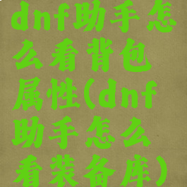 dnf助手怎么看背包属性(dnf助手怎么看装备库)