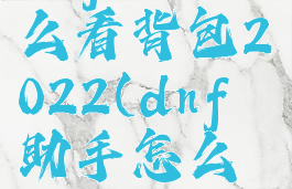 dnf助手怎么看背包2022(dnf助手怎么刷新)