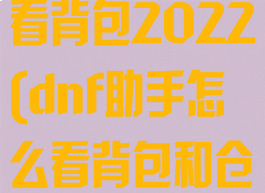 dnf助手怎么看背包2022(dnf助手怎么看背包和仓库)