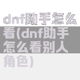 dnf助手怎么看(dnf助手怎么看别人角色)