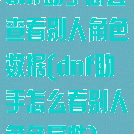 dnf助手怎么查看别人角色数据(dnf助手怎么看别人角色属性)