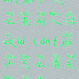 dnf助手怎么查别人游戏id(dnf助手怎么看别人角色)