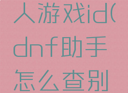 dnf助手怎么查别人游戏id(dnf助手怎么查别人游戏id贴吧)