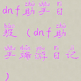 dnf助手日报(dnf助手端游日记)