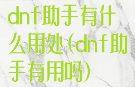 dnf助手有什么用处(dnf助手有用吗)