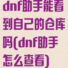 dnf助手能看到自己的仓库吗(dnf助手怎么查看)