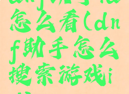 dnf助手id怎么看(dnf助手怎么搜索游戏id)