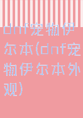 dnf宠物伊尔本(dnf宠物伊尔本外观)