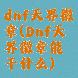 dnf天界徽章(Dnf天界徽章能干什么)