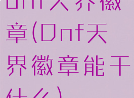 dnf天界徽章(Dnf天界徽章能干什么)