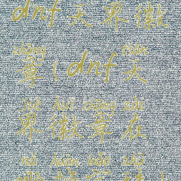 dnf天界徽章(dnf天界徽章在哪换宝珠)