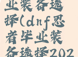 dnf忍者毕业装备选择(dnf忍者毕业装备选择2021)