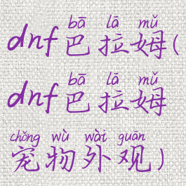 dnf巴拉姆(dnf巴拉姆宠物外观)