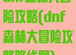 dnf森林大冒险攻略(dnf森林大冒险攻略路线图)