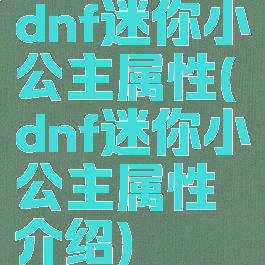 dnf迷你小公主属性(dnf迷你小公主属性介绍)