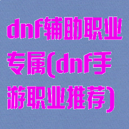 dnf辅助职业专属(dnf手游职业推荐)