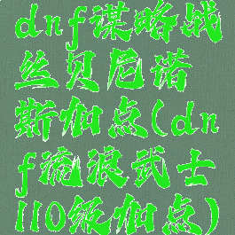 dnf谋略战丝贝尼诺斯加点(dnf流浪武士110级加点)