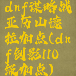 dnf谋略战亚历山德拉加点(dnf剑影110级加点)