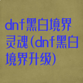 dnf黑白境界灵魂(dnf黑白境界升级)