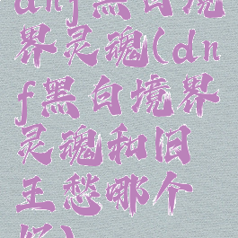 dnf黑白境界灵魂(dnf黑白境界灵魂和旧王愁哪个好)