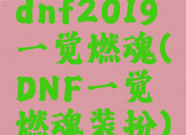 dnf2019一觉燃魂(DNF一觉燃魂装扮)