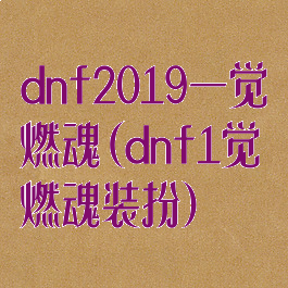 dnf2019一觉燃魂(dnf1觉燃魂装扮)