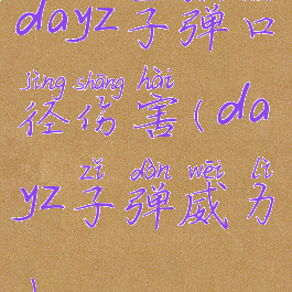 dayz子弹口径伤害(dayz子弹威力)