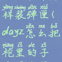 dayz子弹怎样装弹匣(dayz怎么把枪里的子弹取出来)