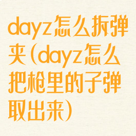 dayz怎么拆弹夹(dayz怎么把枪里的子弹取出来)