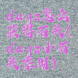 dayz怎么获得石头(dayz小石头作用)