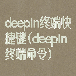 deepin终端快捷键(deepin终端命令)
