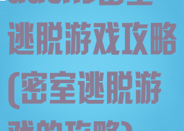 ducks密室逃脱游戏攻略(密室逃脱游戏的攻略)