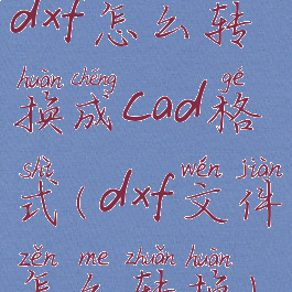 dxf怎么转换成cad格式(dxf文件怎么转换)
