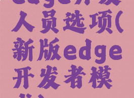 edge开发人员选项(新版edge开发者模式)