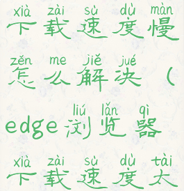 edge浏览器下载速度慢怎么解决(edge浏览器下载速度太慢)